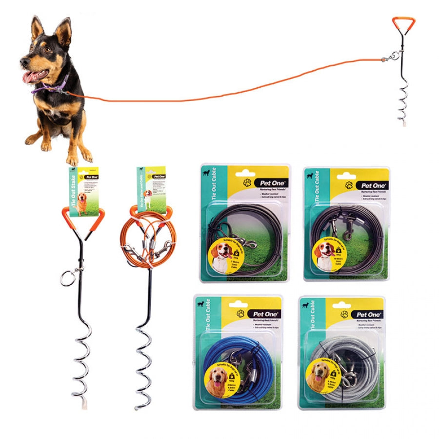 Pet One Dog Tie Out Stake