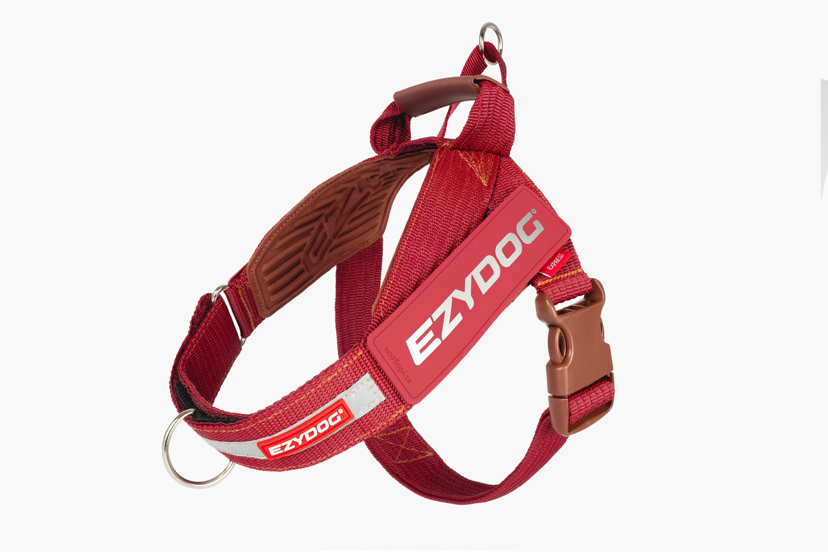 EZYDOG EXPRESS HARNESS L BURGUNDY