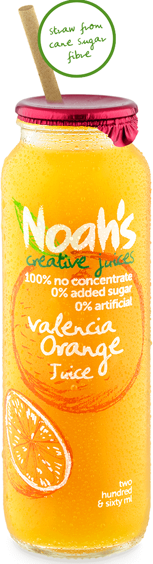 Noah's Valencia Orange Juice 260ml