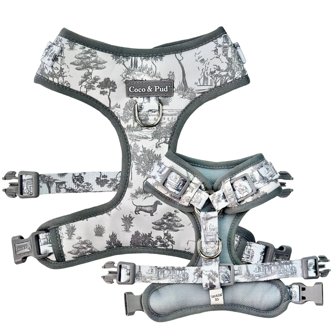 Coco & Pud Toile de Chien Grey Adjustable Dog Harness