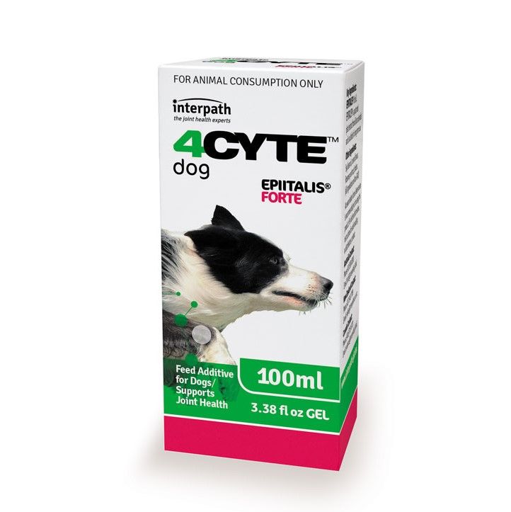 4CYTE Epiitalis Forte Gel for Dogs 100ml