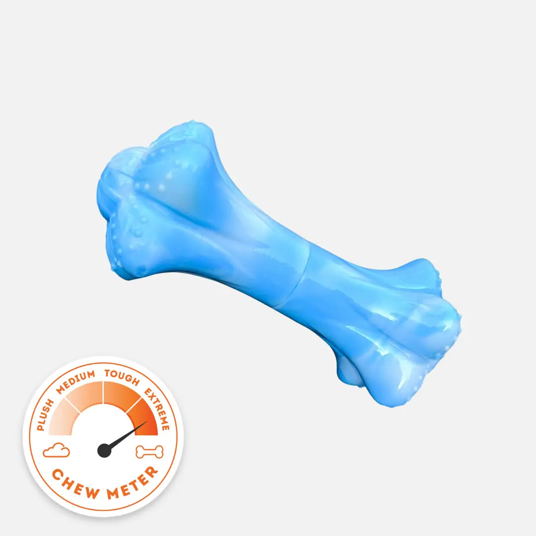 Happy Staffy Chewzilla Musical Bone Dog Chew Toy