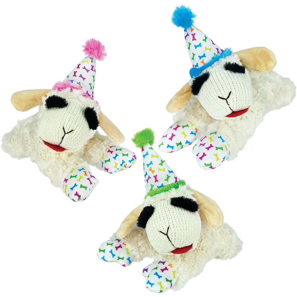 BIRTHDAY LAMB CHOP DOG TOY