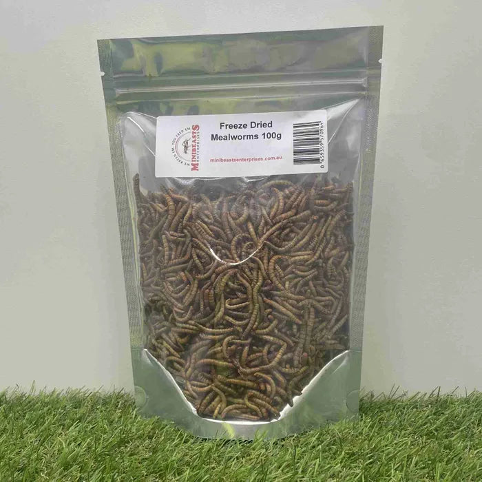 Freeze Dried Mealworms 100g