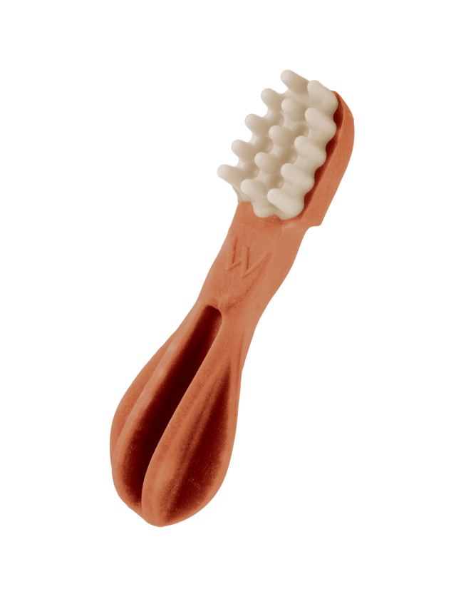 Whimzees Toothbrush Dental Chew
