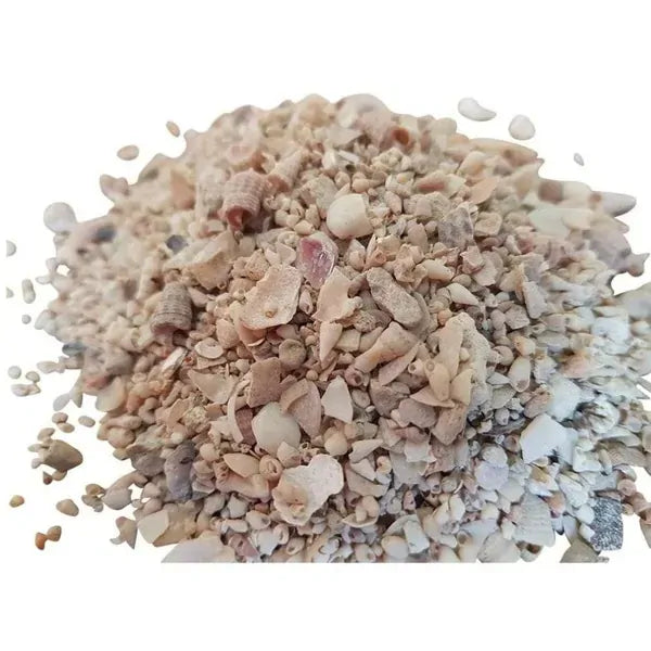 Breeders Choice Premium Medium Shell Grit 2kg