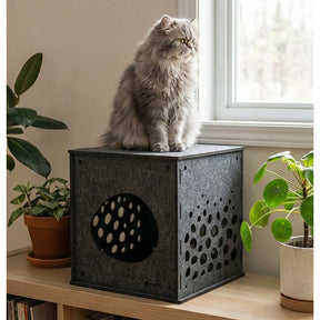 Pryde Modular Cat Cube Charcoal