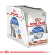 ROYAL CANIN® Indoor Adult in Gravy Wet Cat Food Pouches 12 x 85g