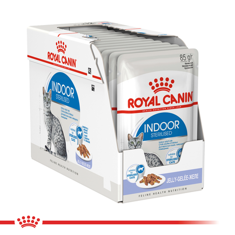 ROYAL CANIN® Indoor Adult in Jelly Wet Cat Food Pouches 12 x 85g