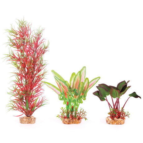 Kazoo Aquarium Silk Fern Multipack