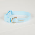 Waterproof dog collar - Sky Blue M