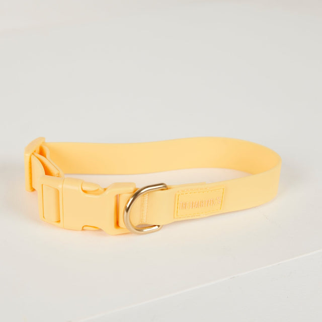 Beach Pets Waterproof Dog Collar - Butter Yellow