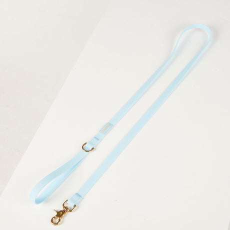 Beach Pets Waterproof Dog Lead - Sky Blue