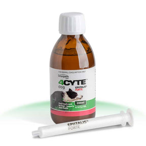 4CYTE Epiitalis Forte Gel for Dogs 200ml
