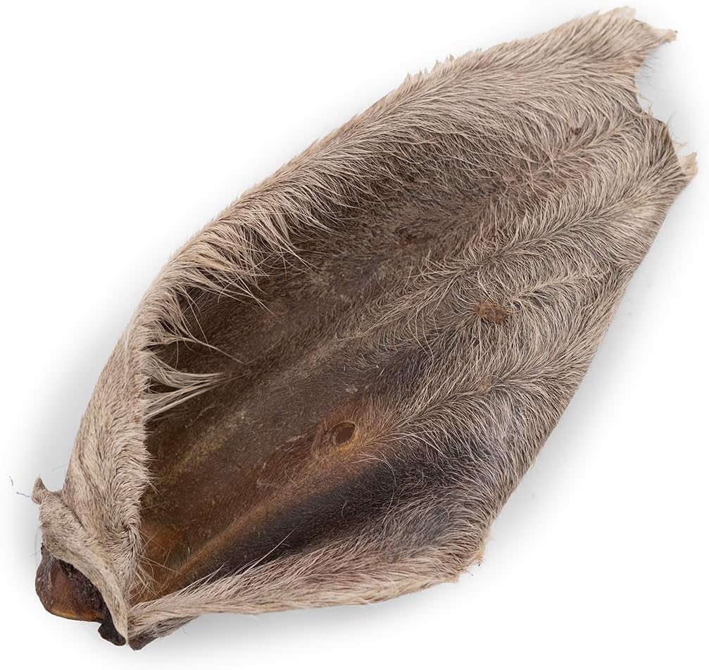 Kazoo Prime Cuts Hairy Wagyu Beef Ear