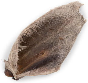 Kazoo Prime Cuts Hairy Wagyu Beef Ear