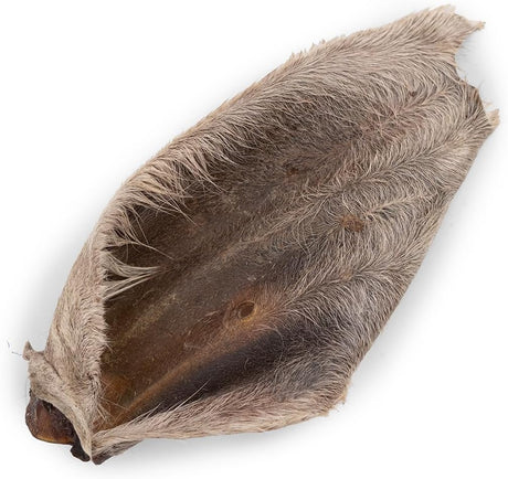 Kazoo Prime Cuts Hairy Wagyu Beef Ear