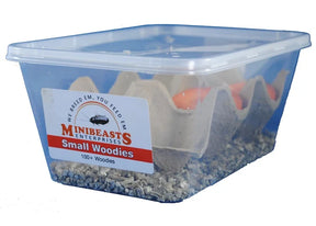 Minibeasts Woodies Small