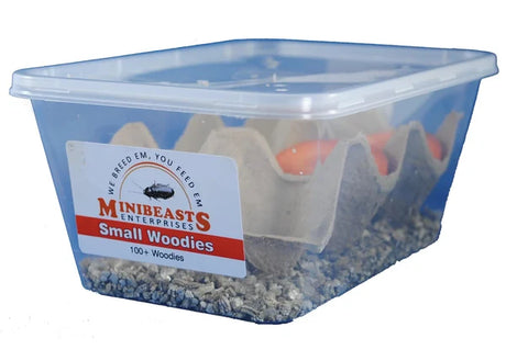 Minibeasts Woodies Small