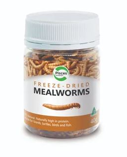 Freeze Dried Mealworms 40g