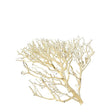 Coral Wood Aquarium Decor Medium
