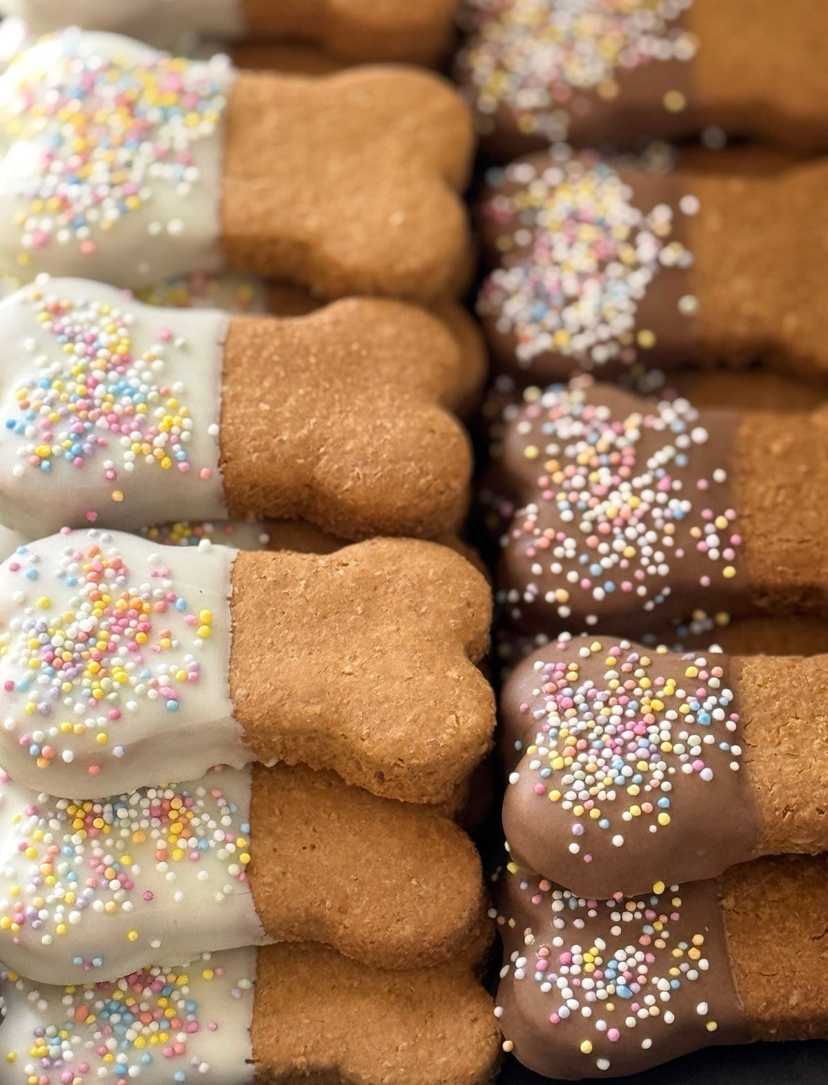 The Organic Dog Co. bone cookie
