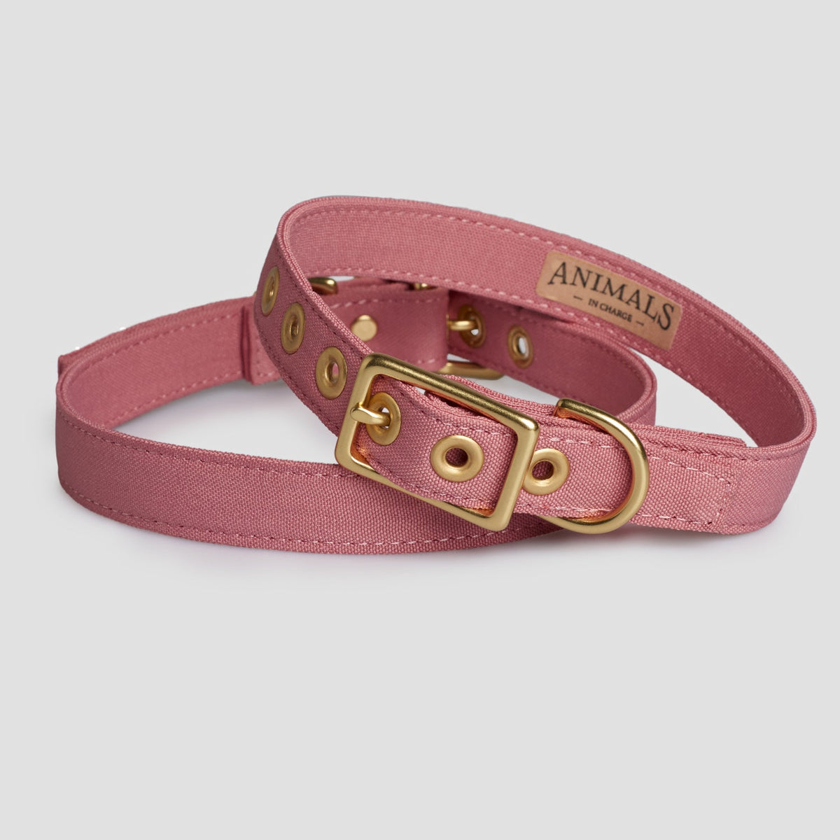 Animals in Charge Dusty Pink Recycled Canvas Dog Collar