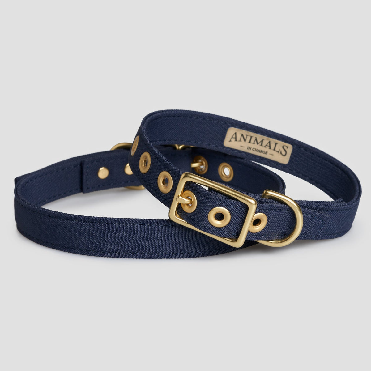 Animals in Charge Navy Recycled Canvas Dog Collar