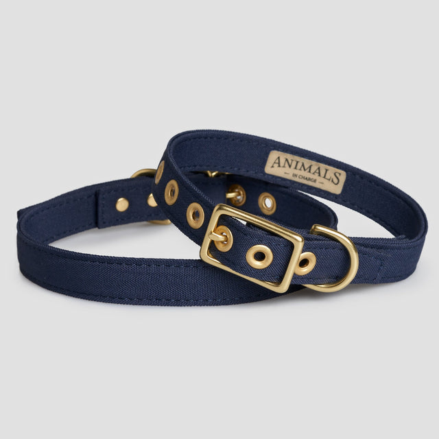 Animals in Charge Navy Recycled Canvas Dog Collar