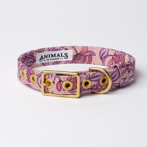 Animals in Charge Bohemian Sunrise Designer Dog Collar