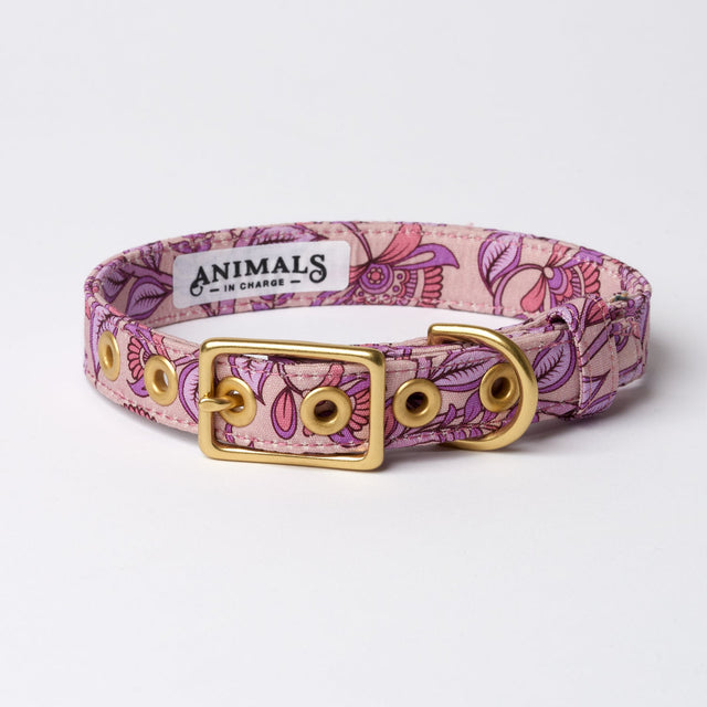 Animals in Charge Bohemian Sunrise Designer Dog Collar