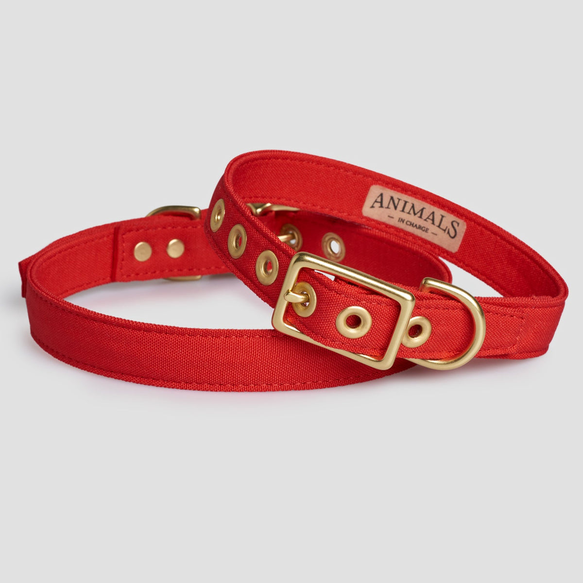 Animals in Charge Red Recycled Canvas Dog Collar