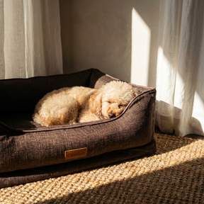 Doggy Snooze Comfort Dog Bed Brown Medium
