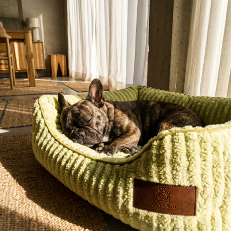 Doggy Snooze Funky Dog Bed Green Medium