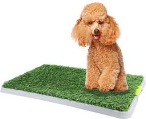 Green Dog Trainer Indoor Toilet 68 x 42cm
