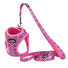 CAAT Cat Harness & Leash Combo Toto