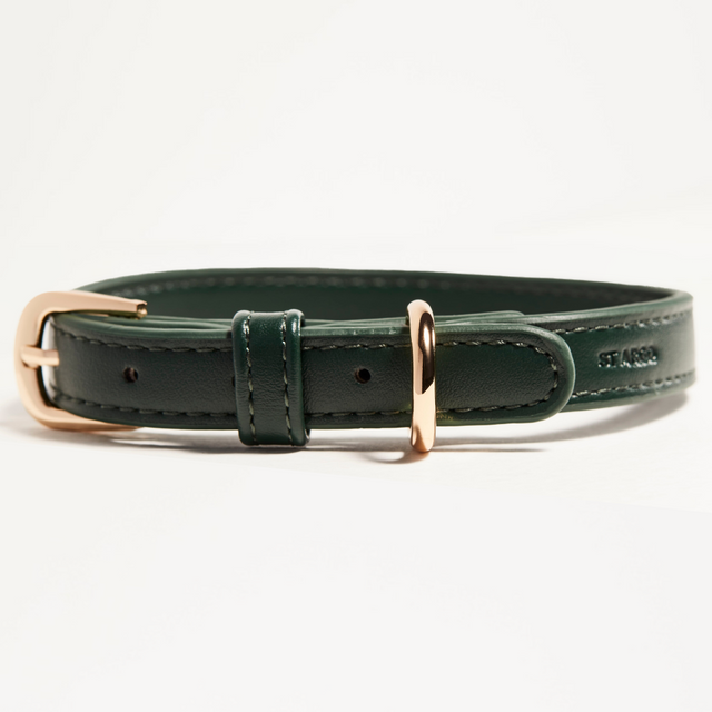 ST ARGO Collar - Bottle Green