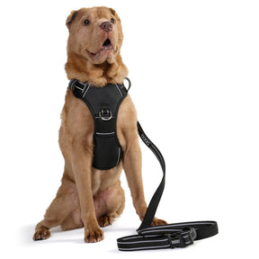 DOOG Neotech Dog Harness Black Small