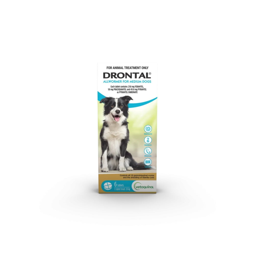 Drontal Allwormer Tablets for Medium Dogs 10kg 6 Pack