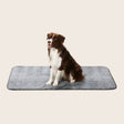 Snooza Dry Luxe Blanket Chinchilla