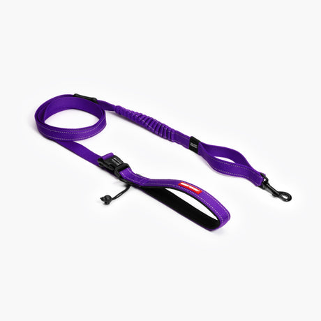 EZYDOG ROAD RUNNER PURPLE