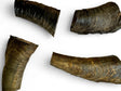 U-Chews Goat Horn Butts with Marrow