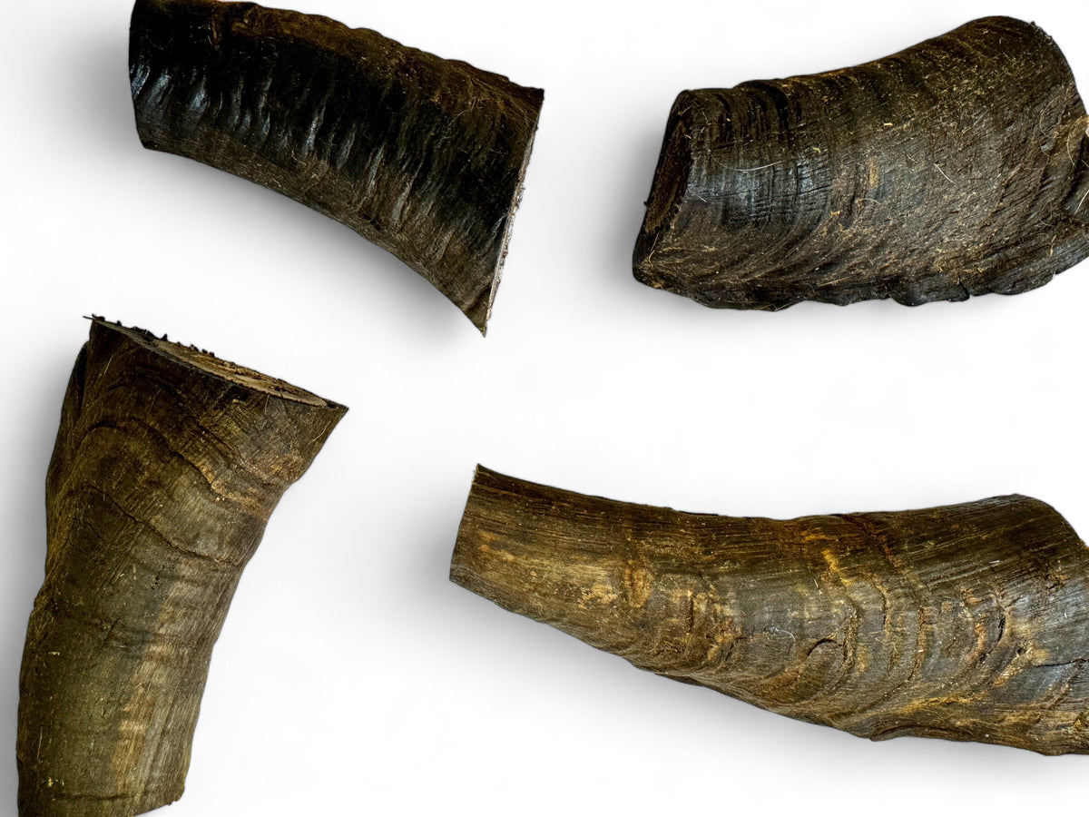 U-Chews Goat Horn Butts with Marrow