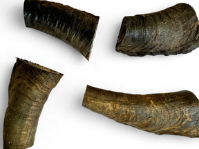 U-Chews Goat Horn Butts with Marrow