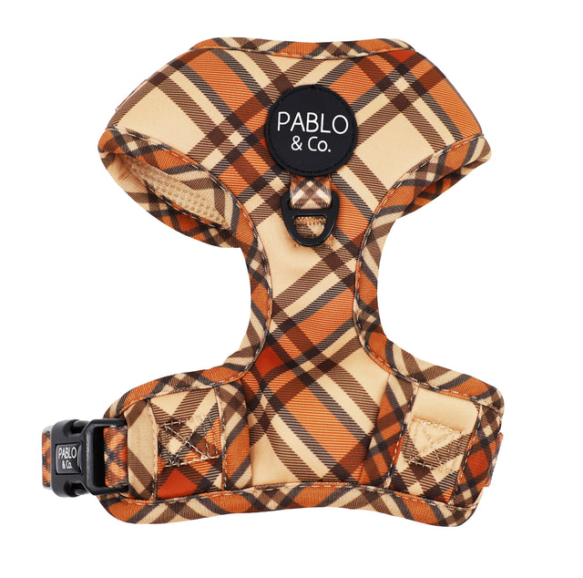 Pablo Dog Harness - M Kensington