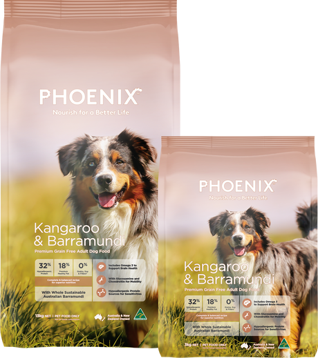 Phoenix Grain Free Kangaroo & Barramundi Adult Dry Dog Food 13kg