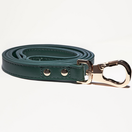 ST ARGO Lead - Bottle Green