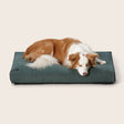 Snooza Modern Dog Daybed Emerald Green