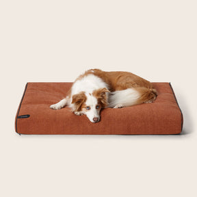 Snooza Modern Dog Daybed Paprika