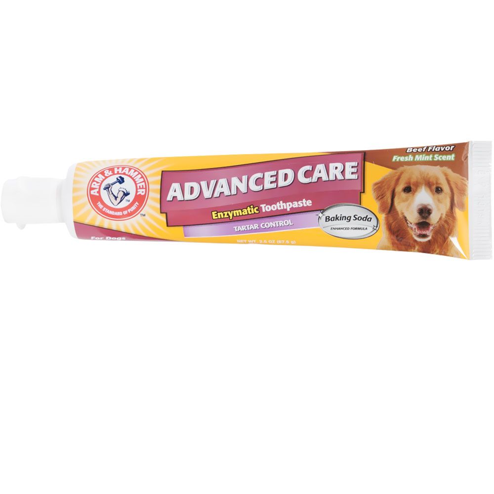 Arm & Hammer Dog Toothpaste Beef